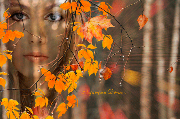 Картинки по запросу осенняя ава